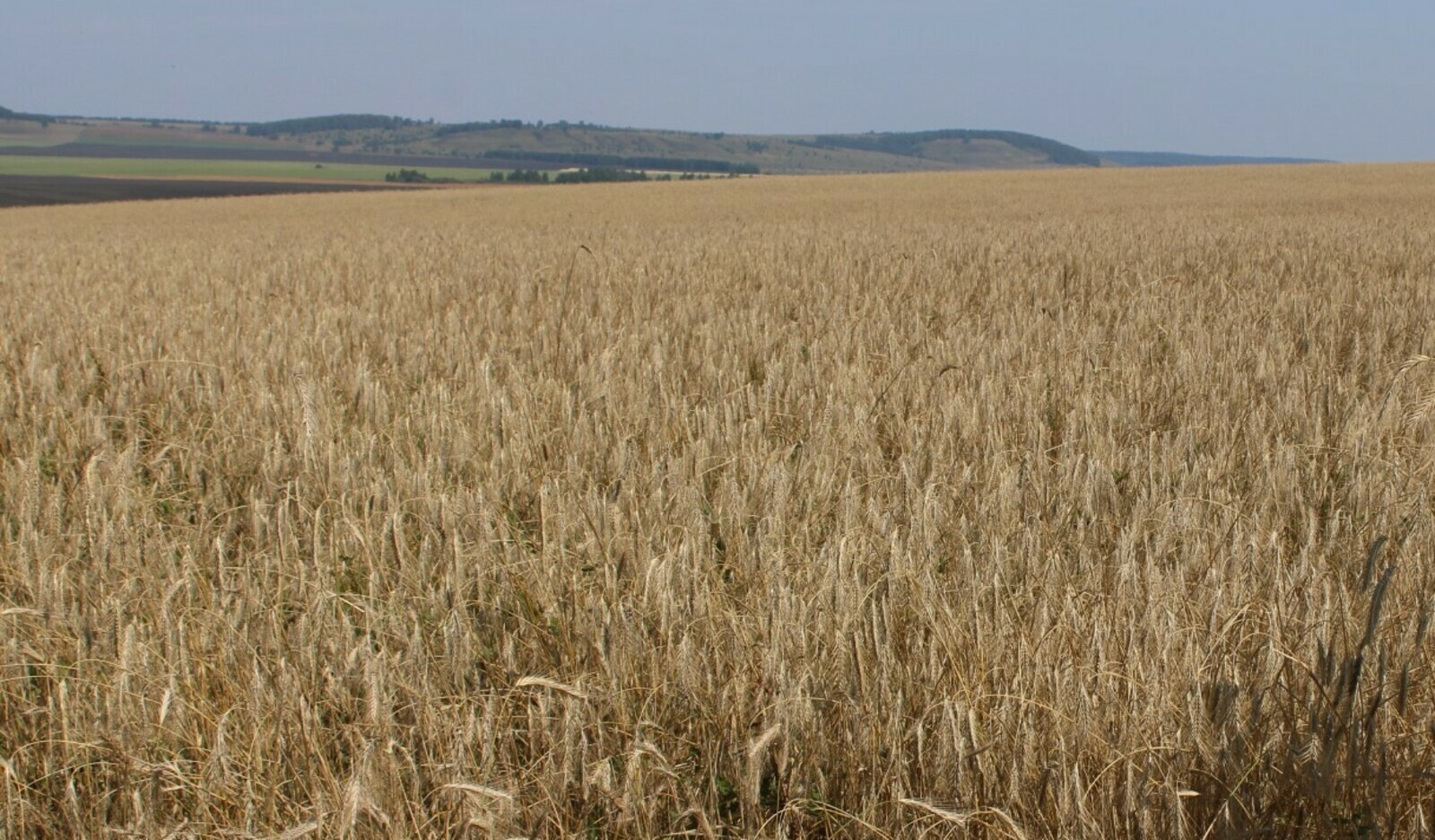 Ҡаҙағстан баҙарына сығыу юлдары асыла