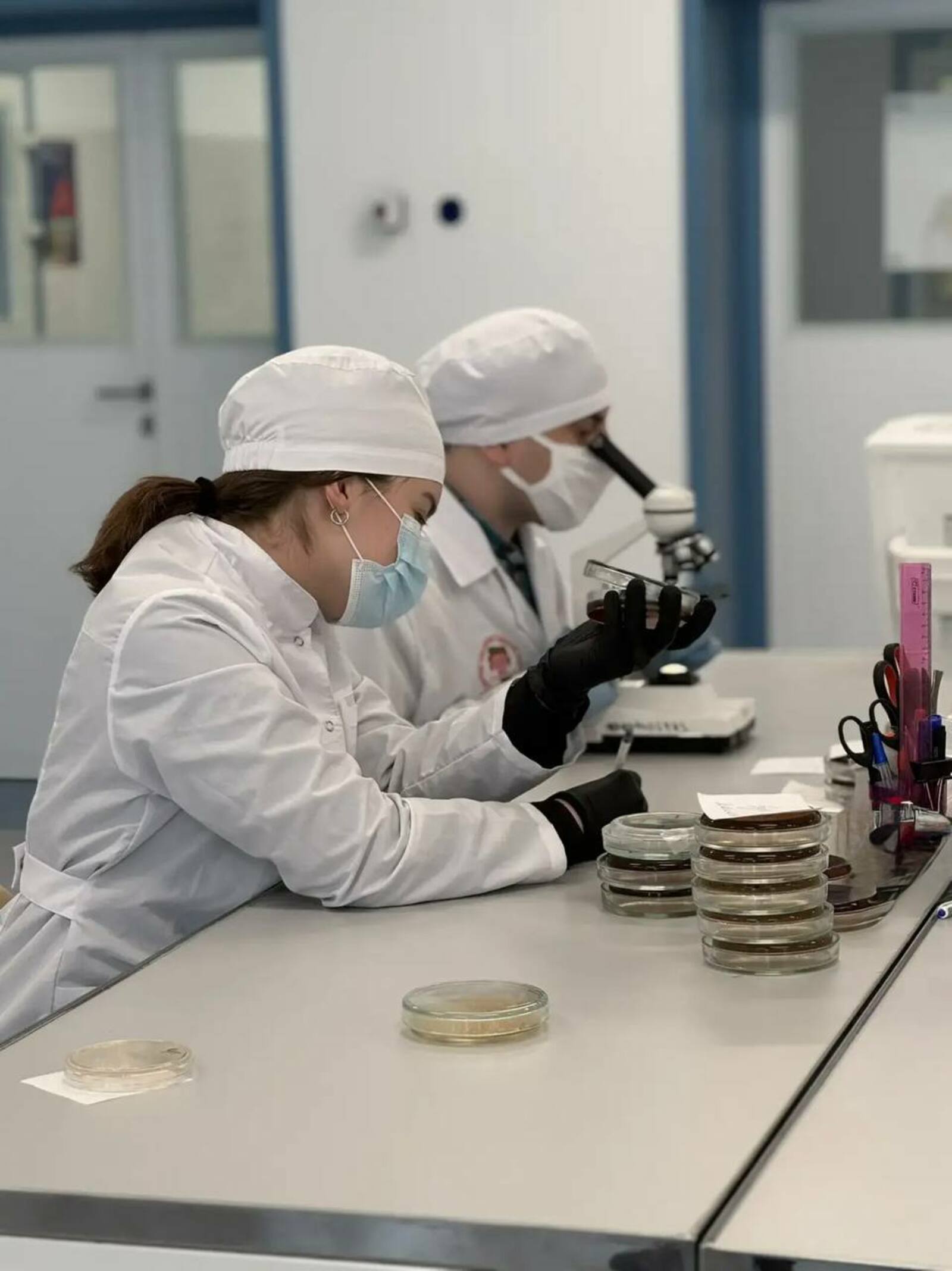 В Уфимском межвузовском  кампусе разработали инновационную тест-систему