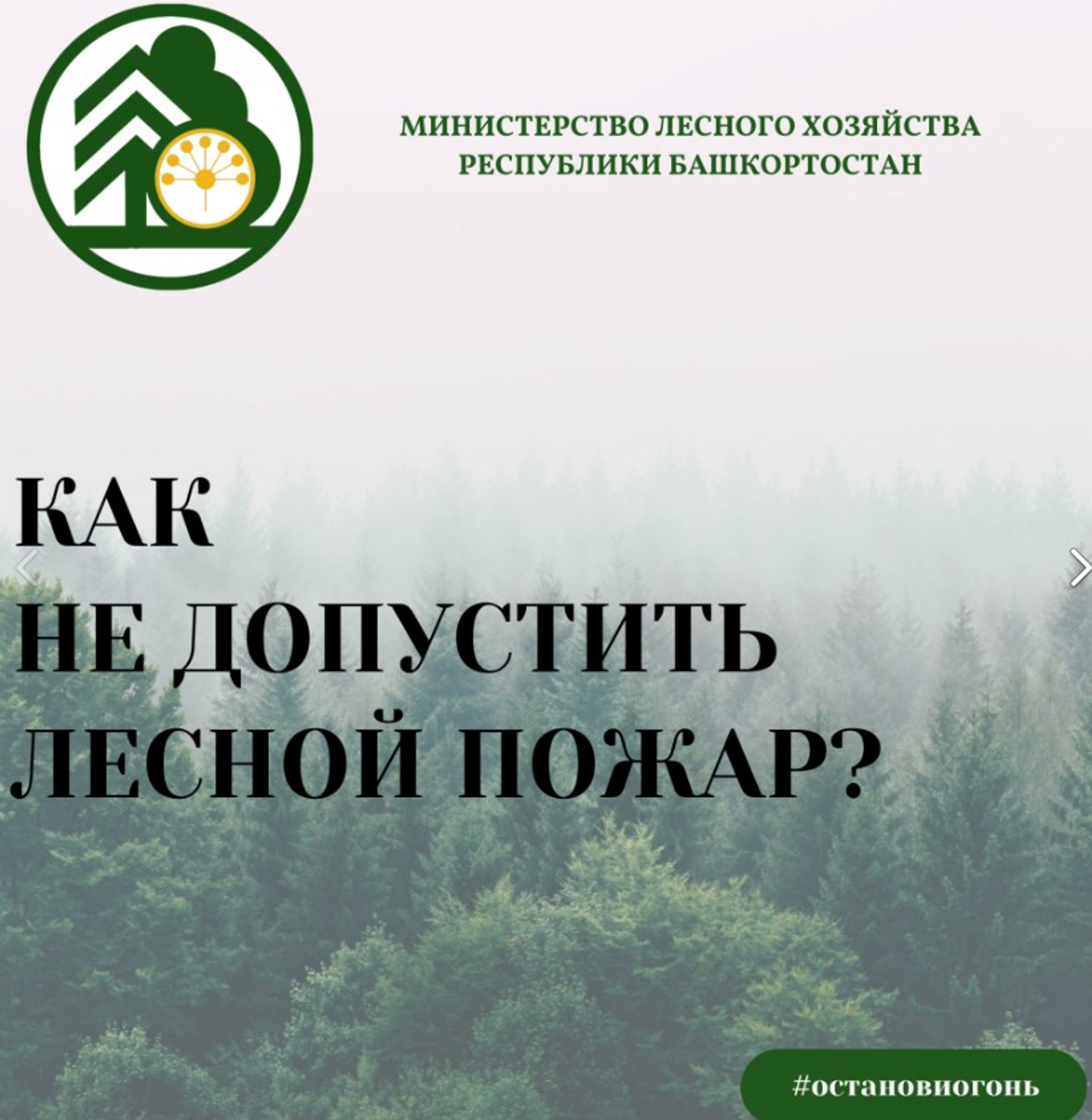 30 апрелдән Башҡортостан биләмәһендә янғынға ҡаршы махсус режим индерелә