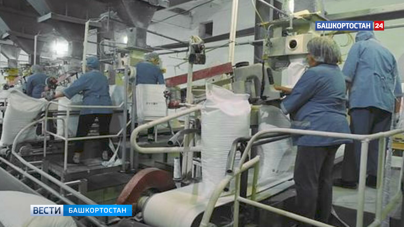 Экспортҡа шәкәр сөгөлдөрө сығарылған