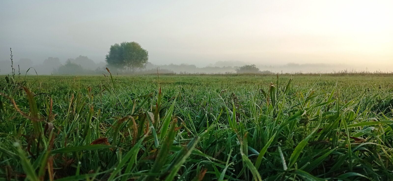 11 районда сәсеүлектәр ямғырҙарҙан һәләк булған