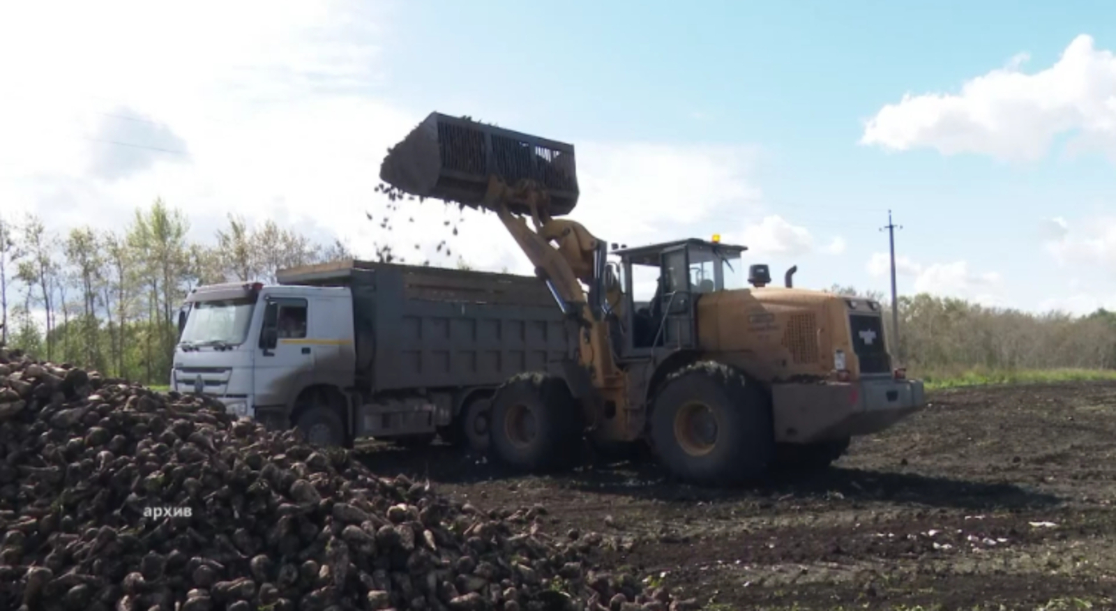 Башҡортостанда 187 мең тонна шәкәр етештерелгән