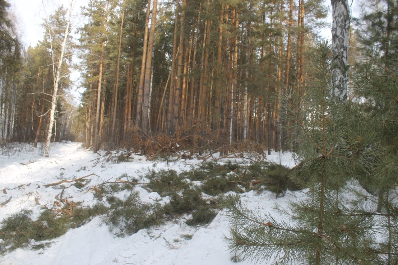 МВД по Республике Башкортостан