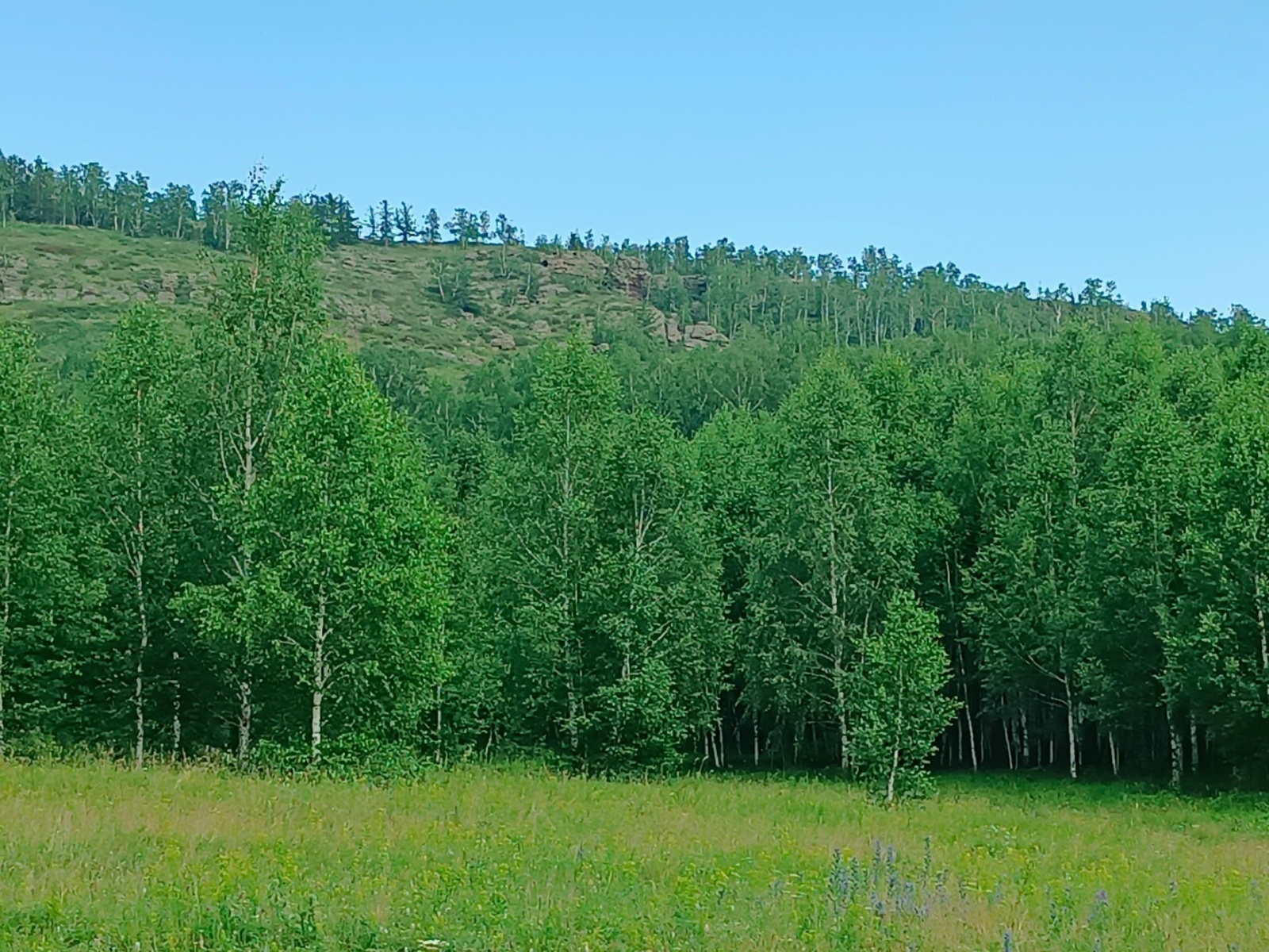 Урмандарҙы пилотһыҙ аппараттар һаҡлай