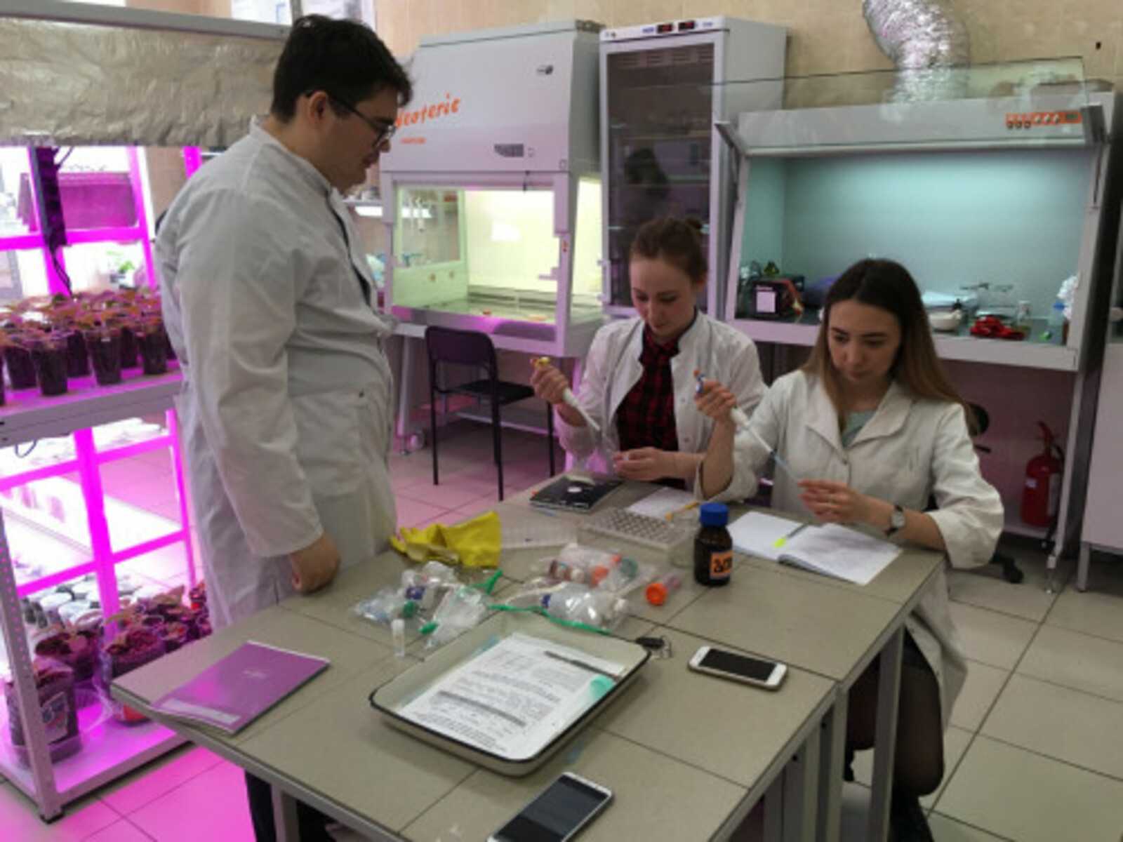 Өфөләге юғары уҡыу йорттары араһындағы кампустың молекуляр биоинженерия лабораторияһында уникаль дарыу культуралары булдырыла