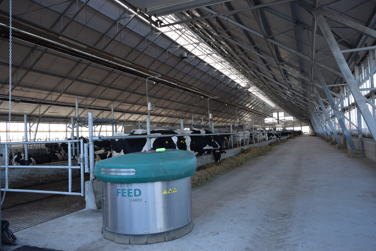 "Бүләк" - шәп ферма