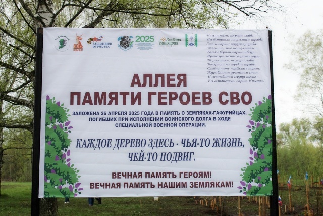 В Гафурийском районе заложили «Аллею памяти героев СВО»
