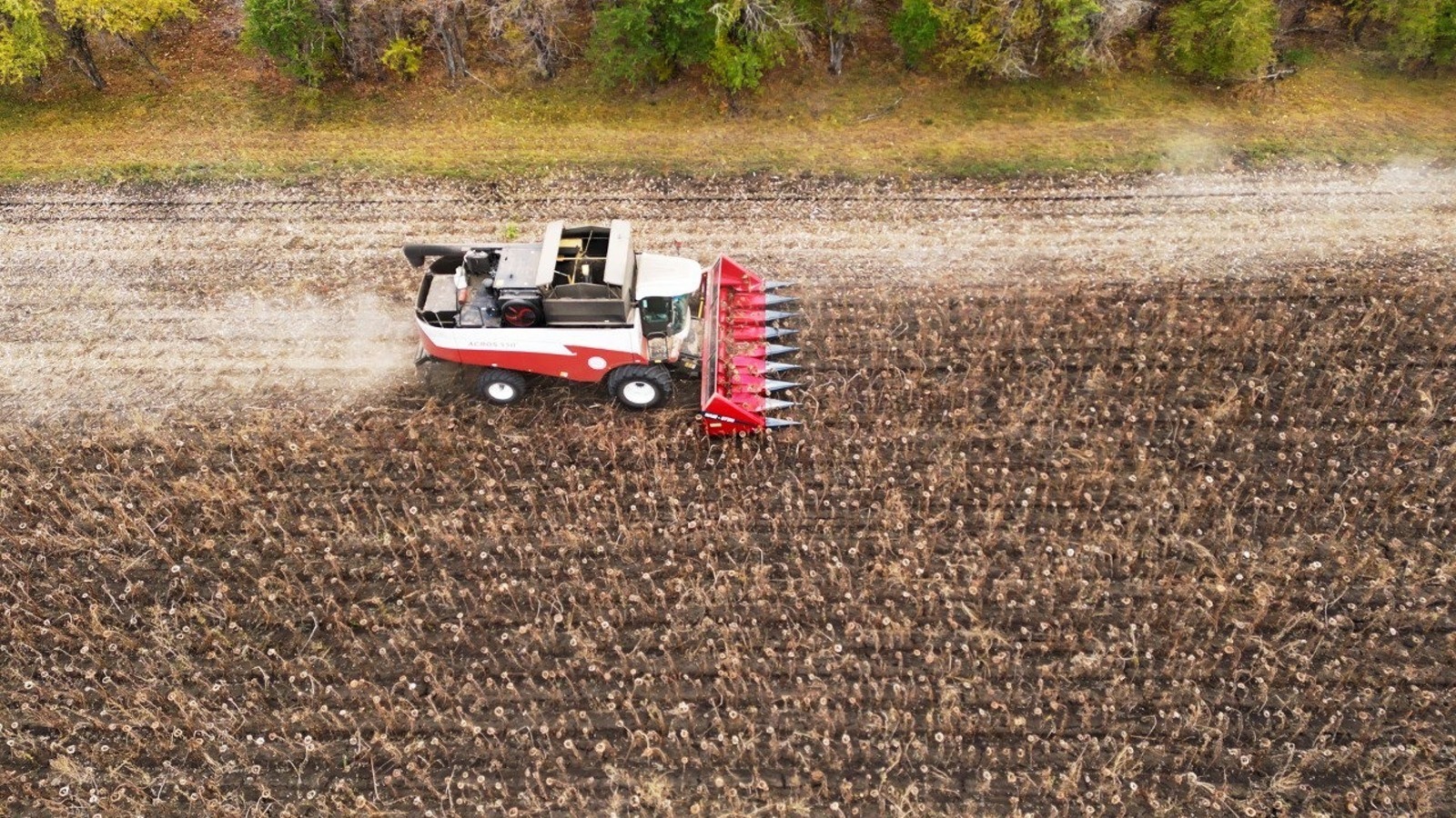 780 мең тоннаға яҡын уңыш алынды