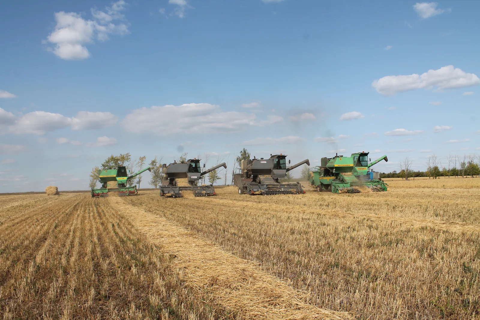 Экспорт арта