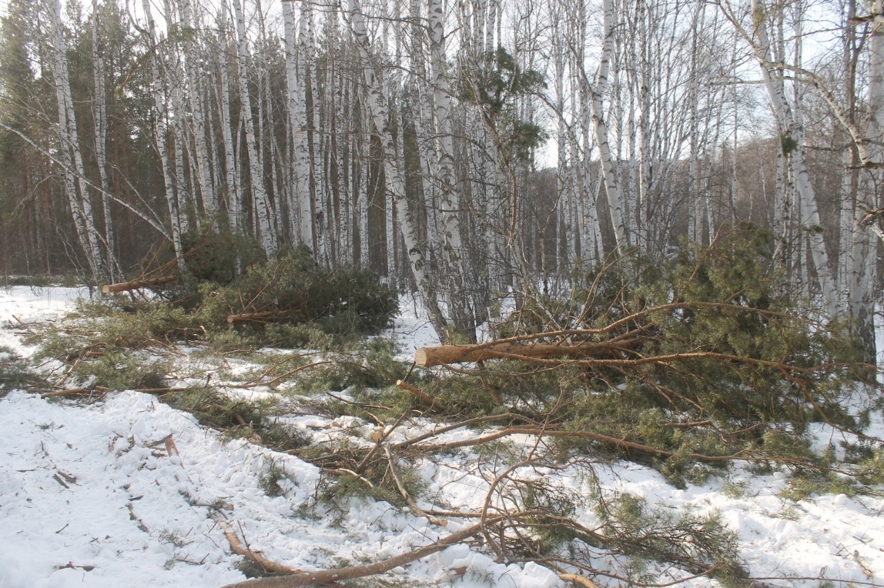 МВД по Республике Башкортостан
