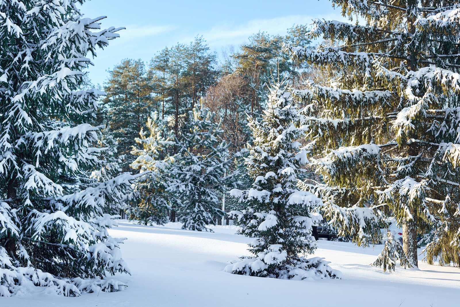 Ярҙам күрһәтеләсәк