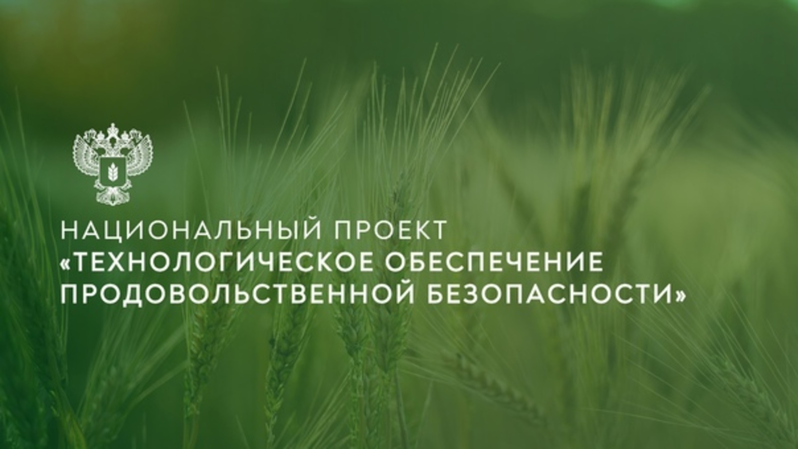 Ауыл хужалығына йәштәр кәрәк