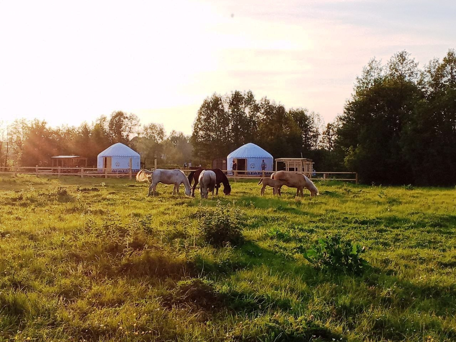 Агротуризмға булышлыҡ итеү форматы киңәйә