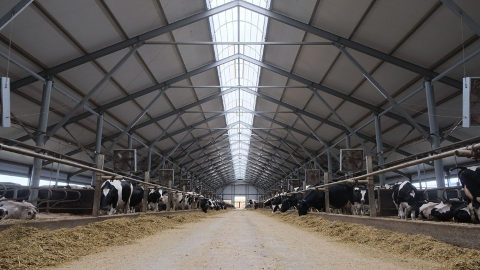 Һөт етештереү йылына 15 мең тоннанан ашыуға артасаҡ