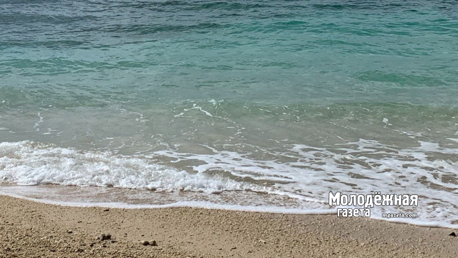 Как получить путёвку в «Артек»