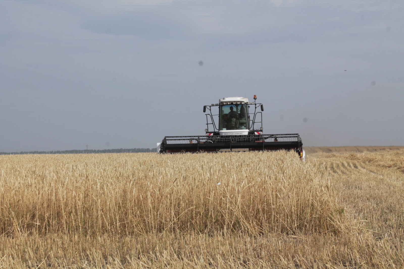 Студент-практиканттар өсөн субсидиялар