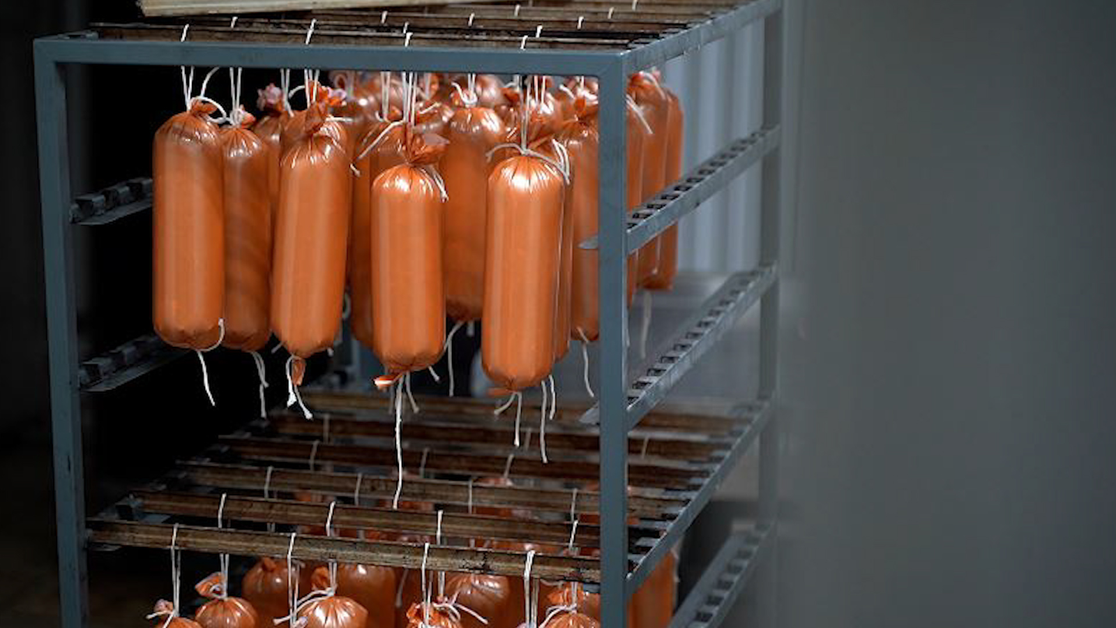 Үзбәкстанға колбаса аҙыҡтарының беренсе партияһы оҙатылды