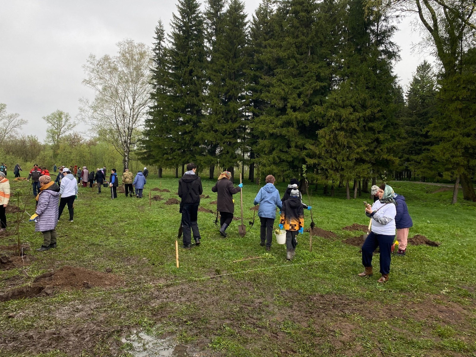 В Гафурийском районе заложили «Аллею памяти героев СВО»