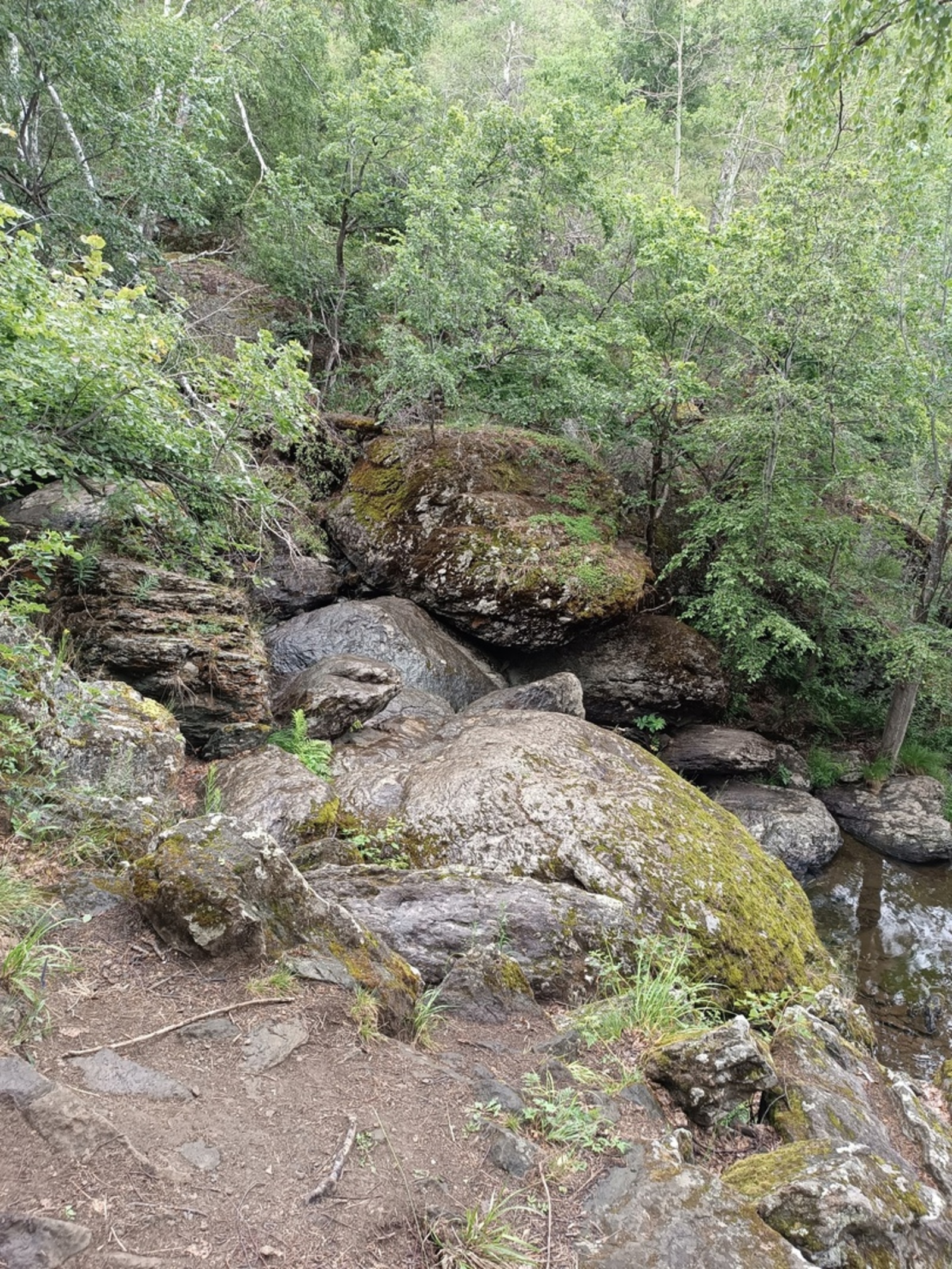 Урмандарҙа уртаса класлы янғын хәүефе фаразлана