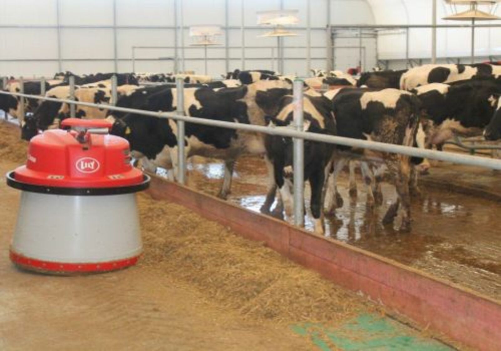 Һыйыр малына генетик экспертиза