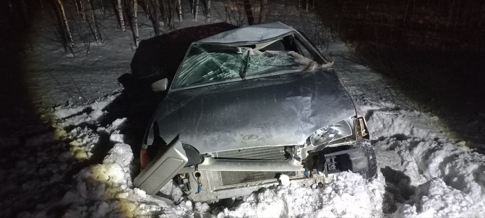 Молодой водитель насмерть сбил лося